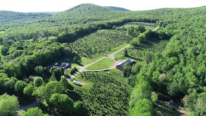 This Veteran Found Life After the Navy on a Christmas Tree Farm