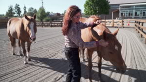 Central Oregon Wellness Ranch offers unique ways to help veterans with PTSD