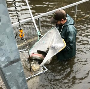 Final Oregon ‘free fishing days’ hit after Thanksgiving